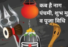 नाग पंचमी की पूजा में इस बात का रखें खास ख्याल, भूलकर भी न करें ये काम