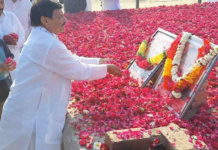 सैफ़ई की होली की कल्पना करना मुश्किल है-शिवपाल सिंह यादव
