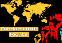 नाम बदलना नागरिक का मूल अधिकार, हाई कोर्ट ने नया प्रमाण पत्र जारी करने का दिया निर्देश