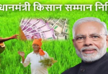 यूपी के दो करोड़ किसानों के खाते में पहुंची पीएम किसान सम्मान निधि की…राशि