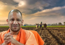 धान खरीद में नया रिकॉर्ड, 4 लाख से अधिक किसानों से खरीदा गया 25 लाख मीट्रिक टन धान