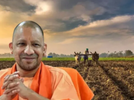 धान खरीद में नया रिकॉर्ड, 4 लाख से अधिक किसानों से खरीदा गया 25 लाख मीट्रिक टन धान