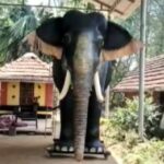 देश में पहली बार असली ‘हाथी’ जैसे एक ‘रोबोटिक हाथी’ का इस्तेमाल मन्दिर में…