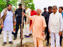 योगी सरकार ने रचा इतिहास! 12 घंटे में लगा दिए रिकॉर्ड तोड़ 35 करोड़ पौधे