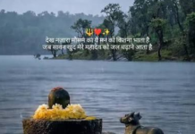 शिव का अर्थ ही है परम कल्याणकारी, श्रावण मास में शिव जी को जल चढ़ाने का विशेष महत्व