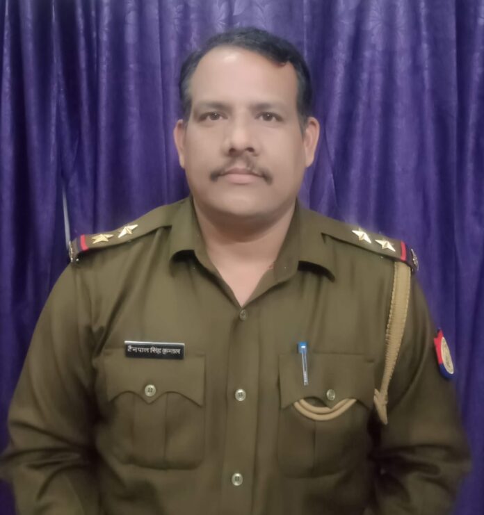 renpal 2